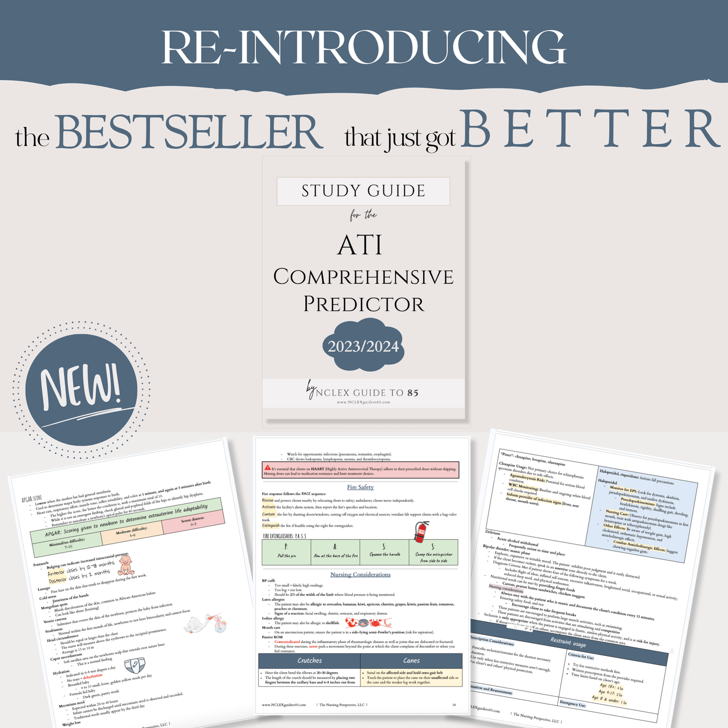 ATI RN Comprehensive Predictor Study Guide 2023 - The Nursing Perspective